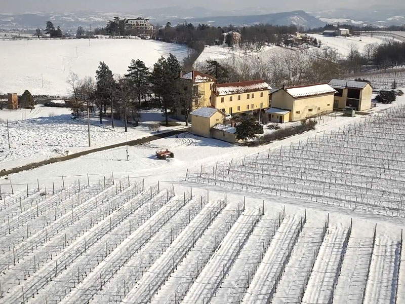 BANFI PIEMONTE – INVERNO